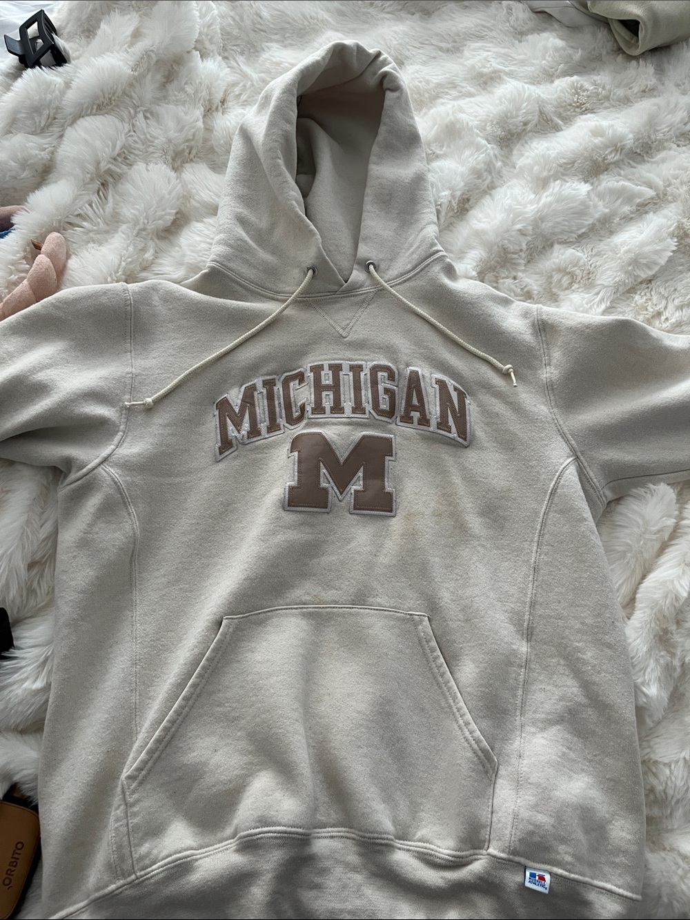 Michigan Appliqué Crewneck Hoodie in Light Beige